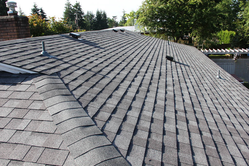Roofing shingles prp2